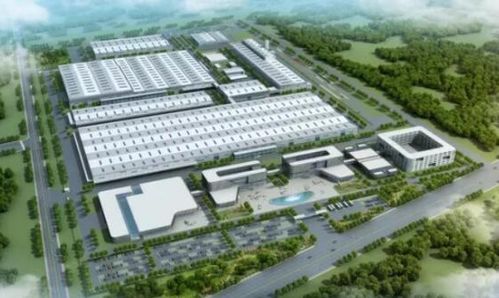 活力莱西 产业园区联动与政务窗口齐转，强化联动提效率激活汽车销售链